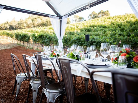 Napa Valley event entertainment in wine country